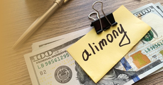 alimony payment